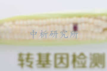 轉(zhuǎn)基因食品檢測(cè)