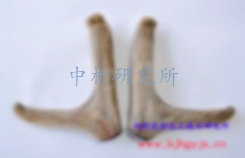 鹿茸檢測,鹿茸檢測中心,鹿茸檢測機構, 鹿茸成分檢測,鹿茸檢測報告