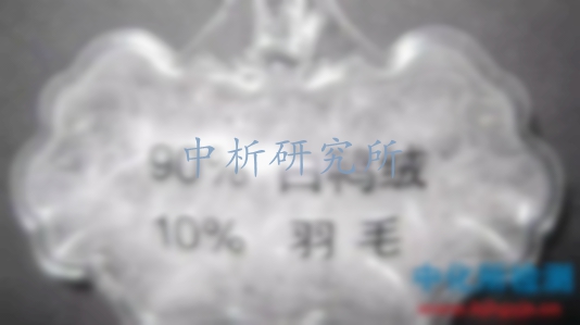 羽絨服檢測(cè)