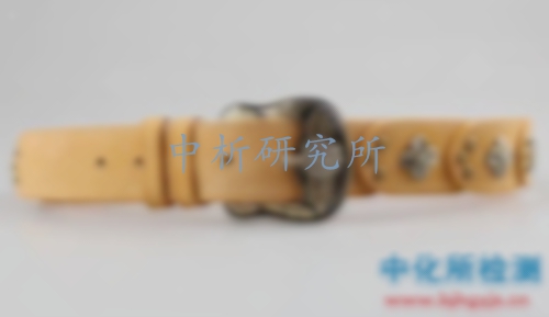 腰帶檢測