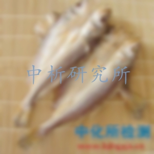 咸魚檢測