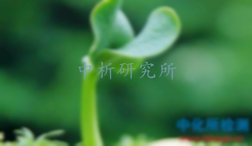 植物激素是什么