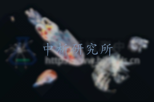浮游生物檢測